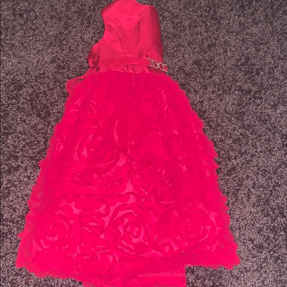 Red rose dress